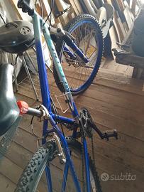 bici simile MTB