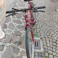 bicicletta MTB mountain bike Atala