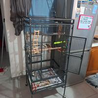 Gabbie per pappagallo