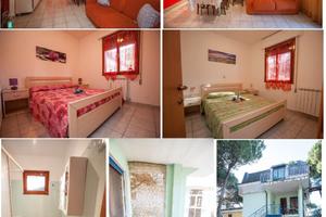 Vendita trilocale ristrutturato, zona tranquilla