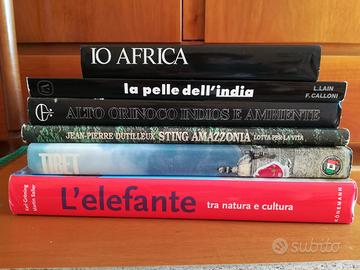 Sting - Tibet - L'elefante