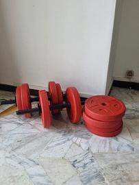 Set manubri regolabili con pesi 
