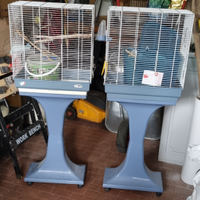 2 Gabbiette Cocorite