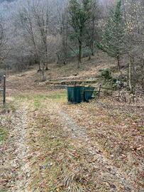 Terreno boschivo monasterolo