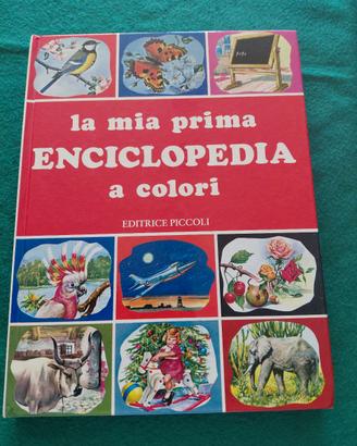 libro la mia prima enciclopedia a colori