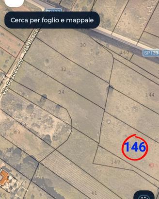 Vigneto, seminativo e pascolo cespug