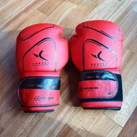 Guantoni da Box Domyos