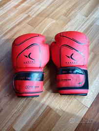 Guantoni da Box Domyos