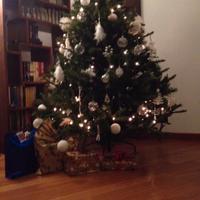 Albero di Natale