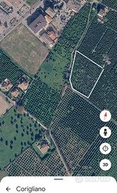 Terreno agricolo agrumeto