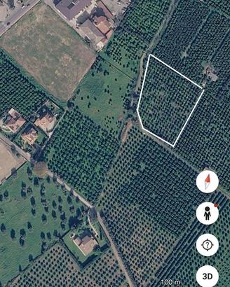 Terreno agricolo agrumeto