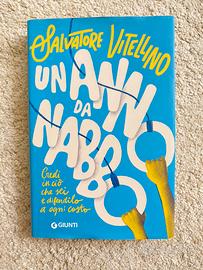 Un anno da nabbo