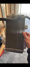 Radiatore gilera runner 125 2t