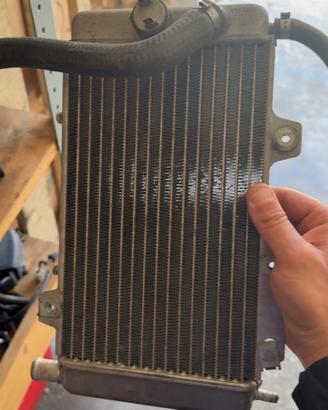 Radiatore gilera runner 125 2t