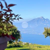 2 LOCALI A SAN ZENO DI MONTAGNA