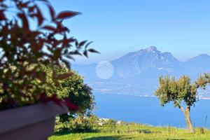 2 LOCALI A SAN ZENO DI MONTAGNA
