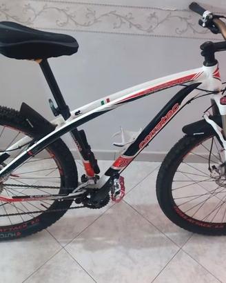 Bici MTB professionale