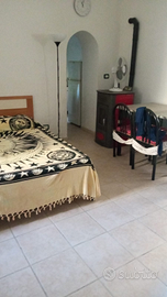 Monolocale ischitella fg