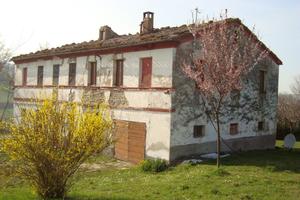 Indipendente a Cupramontana