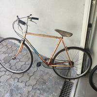 bicicletta vintage Moser 