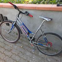 bicicletta donna