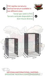 Teche e Terrari in PVC per rettili Gechi