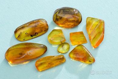 Ambra baltica levigata con inclusioni III lotto
