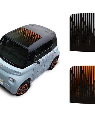Adesivo parasole per tetto URBAN 03 per Citroen Am
