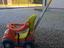 Immagine 1