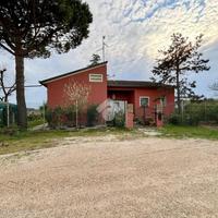 3 LOCALI A ALFONSINE