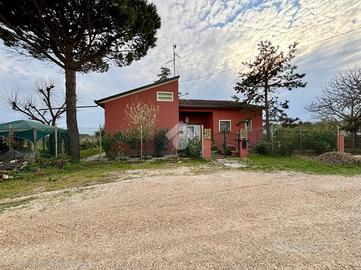 3 LOCALI A ALFONSINE