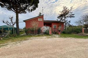 3 LOCALI A ALFONSINE