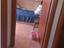 Immagine 8