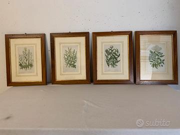 Quadri d arredo
