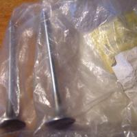 Aprilia scarabeo coppia valvole motore rotax 125