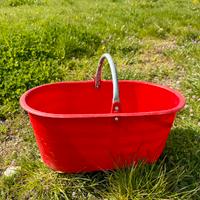 Cavagne raccolta uva