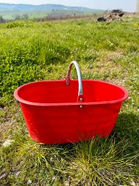 Cavagne raccolta uva