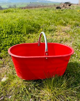 Cavagne raccolta uva