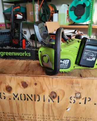motosega greenworks 