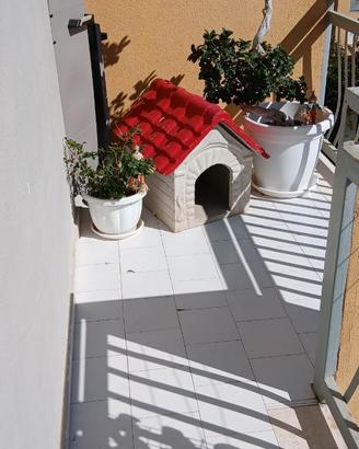 Cuccia per cani piccola taglia