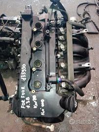 Motore for four 135930