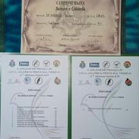 Verdoni del meridione