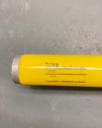 Neon T12 20w Luce gialla