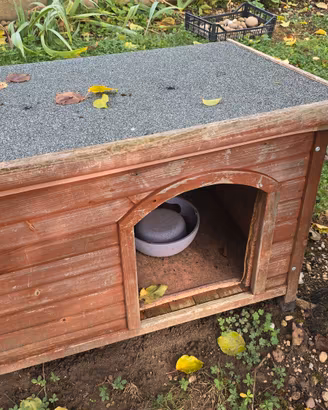 CUCCIA in legno per cane