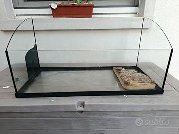 Acquario per tartarughe!