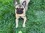 Immagine 6