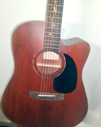 Chitarra acustica amplificata