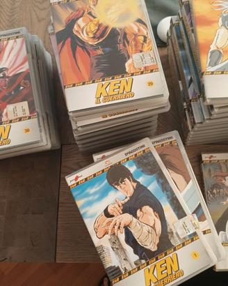 Collezione DVD Ken il guerriero