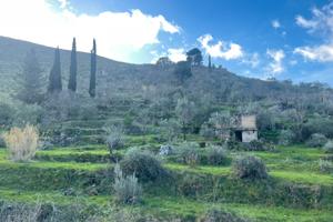 Terreno agricolo Altofonte