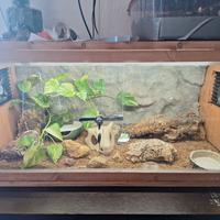 Terrari bioattivo e sfondi 3d geco leopardino